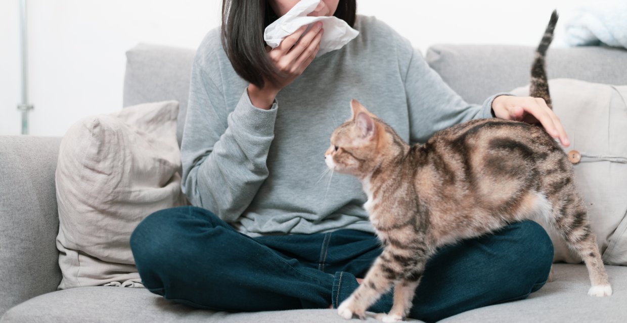 Cats and Allergies